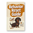 Bad Habits Reset Guide