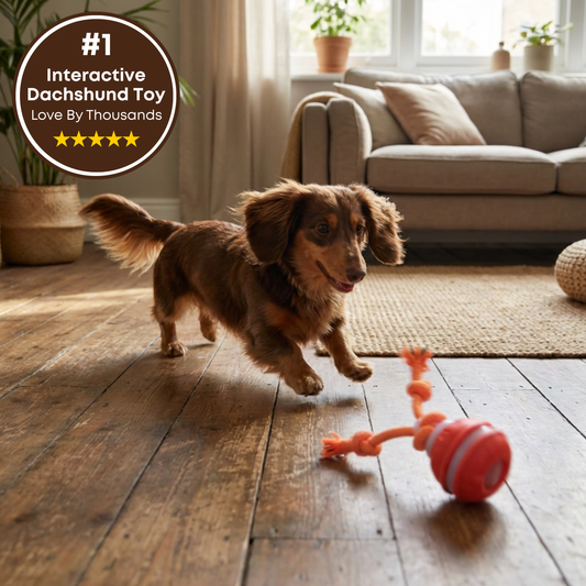 Interactive Doxie Buddy