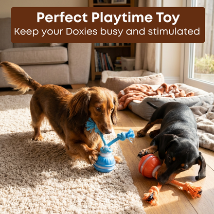 Interactive Doxie Buddy