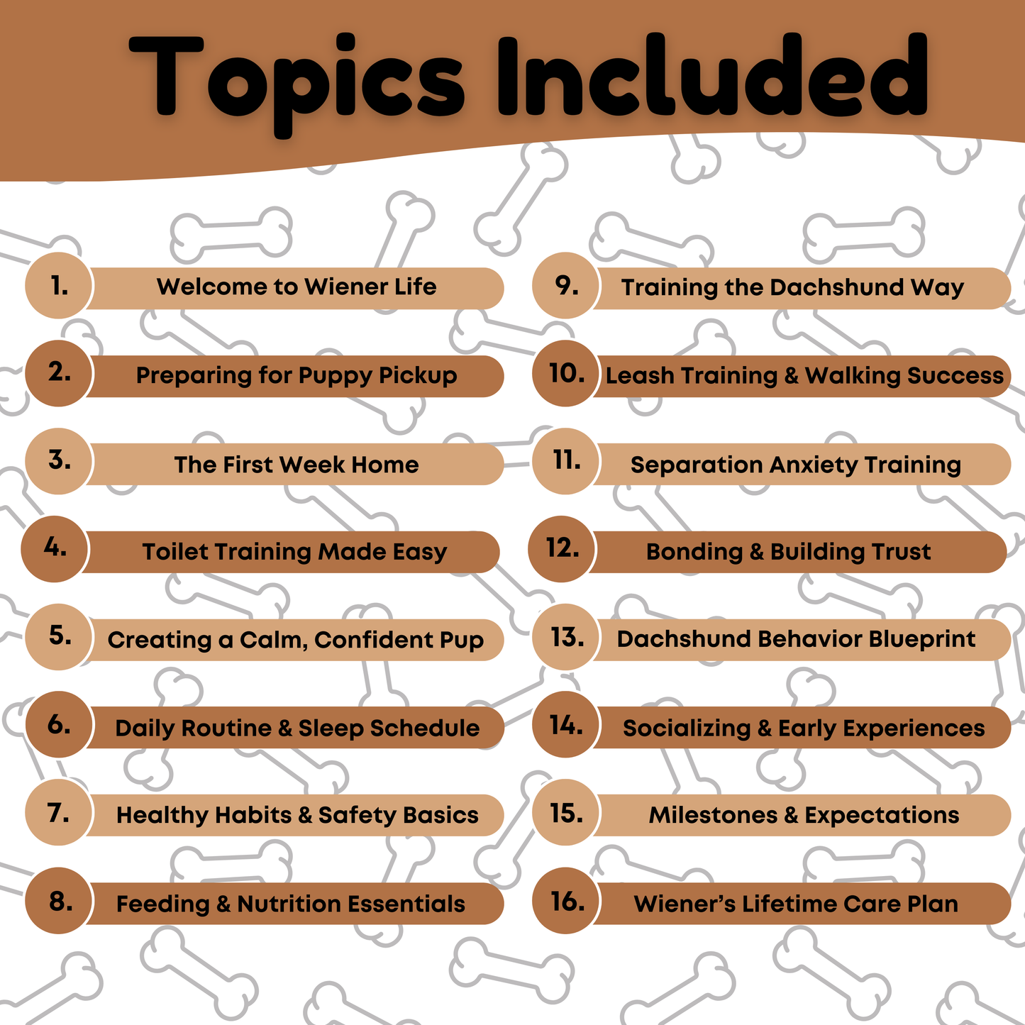 WienieWelcome™ - The Complete Guide For New Dachshund Owners