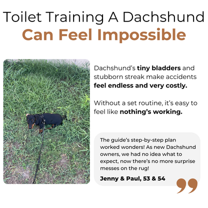 WienieWelcome™ - The Complete Guide For New Dachshund Owners