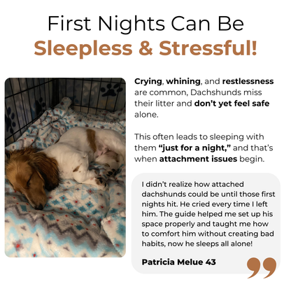 WienieWelcome™ - The Complete Guide For New Dachshund Owners