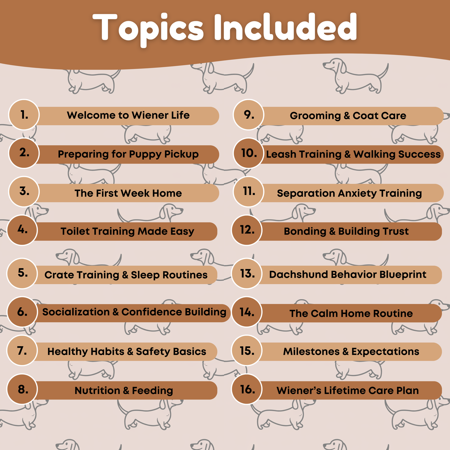 WienieWelcome™ - The Complete Guide For New Dachshund Owners