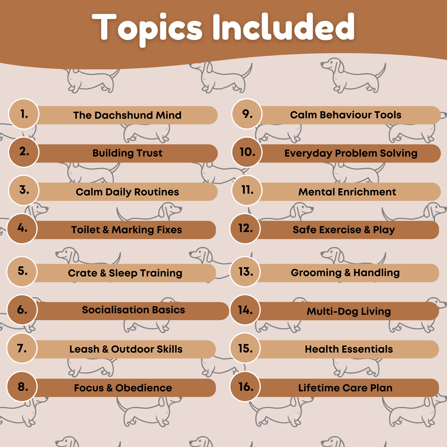 The Complete Dachshund Guide