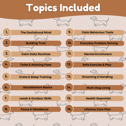 The Complete Dachshund Guide