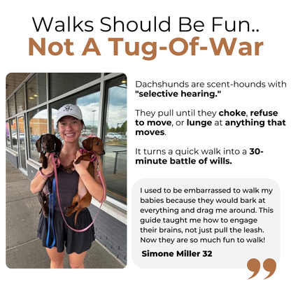 The Complete Dachshund Guide