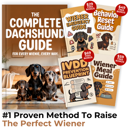 The Complete Dachshund Guide