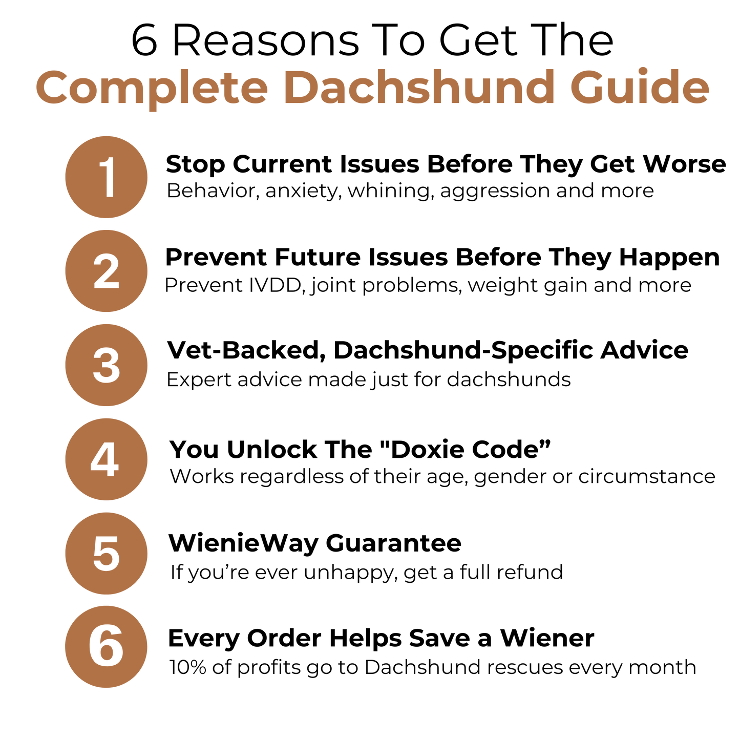 The Complete Dachshund Guide