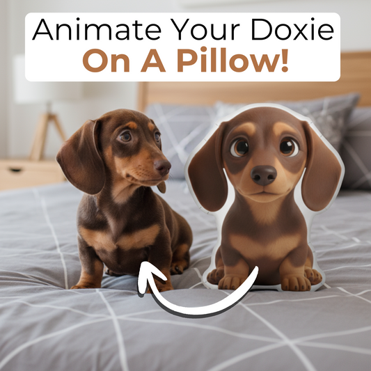 WienieWay Custom Pixar Pillow