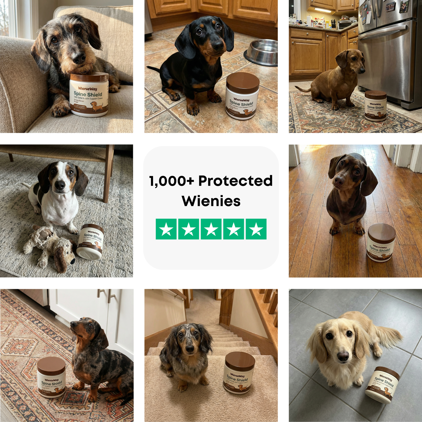 Wienie Way - Spine Shield™