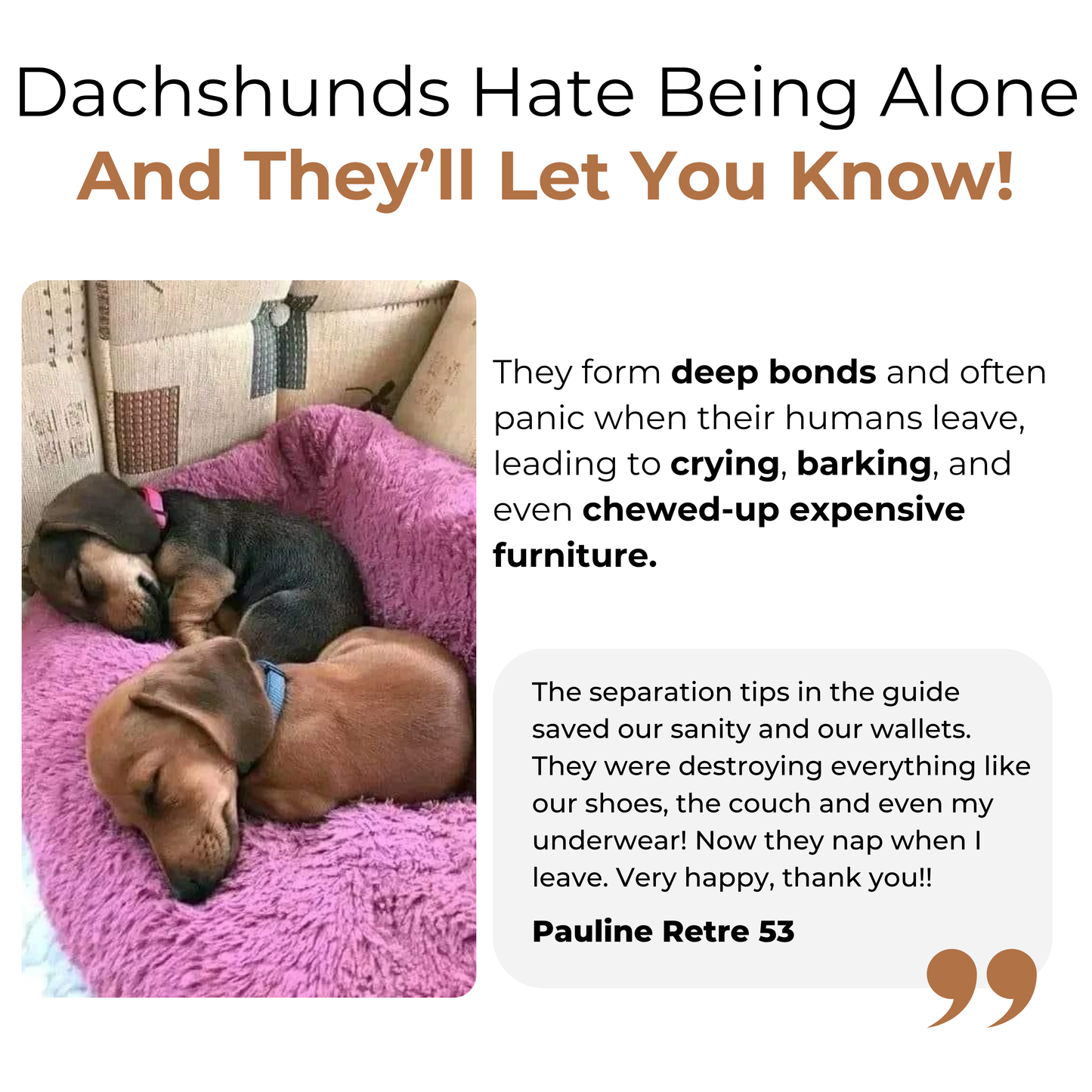 WienieWelcome™ - The Complete Guide For New Dachshund Owners