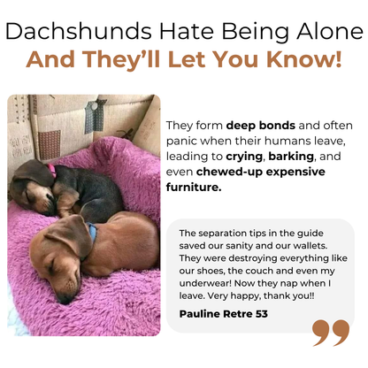 WienieWelcome™ - The Complete Guide For New Dachshund Owners