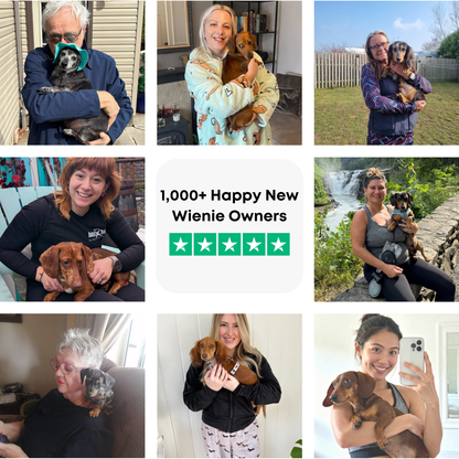 WienieWelcome™ - The Complete Guide For New Dachshund Owners