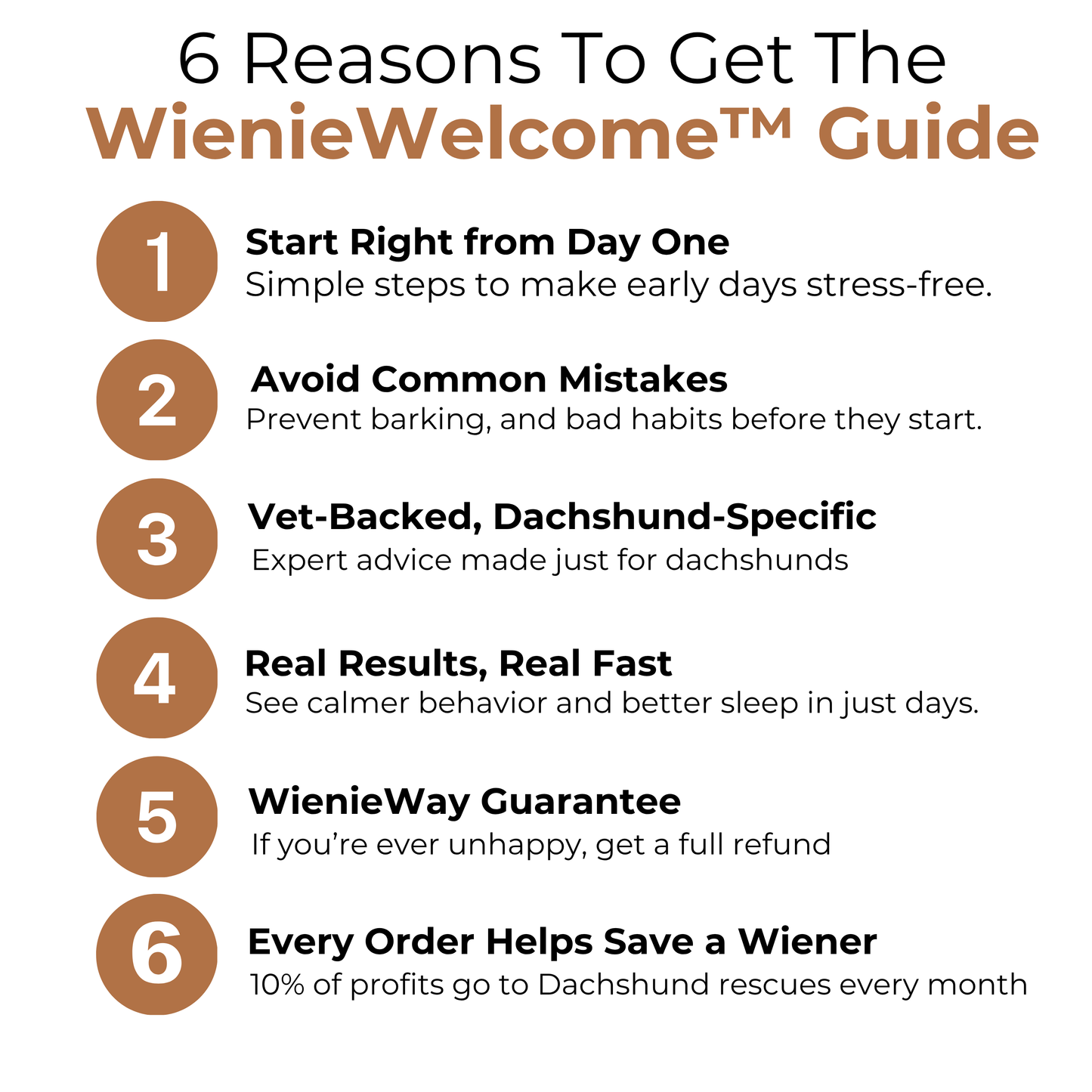 WienieWelcome™ - The Complete Guide For New Dachshund Owners