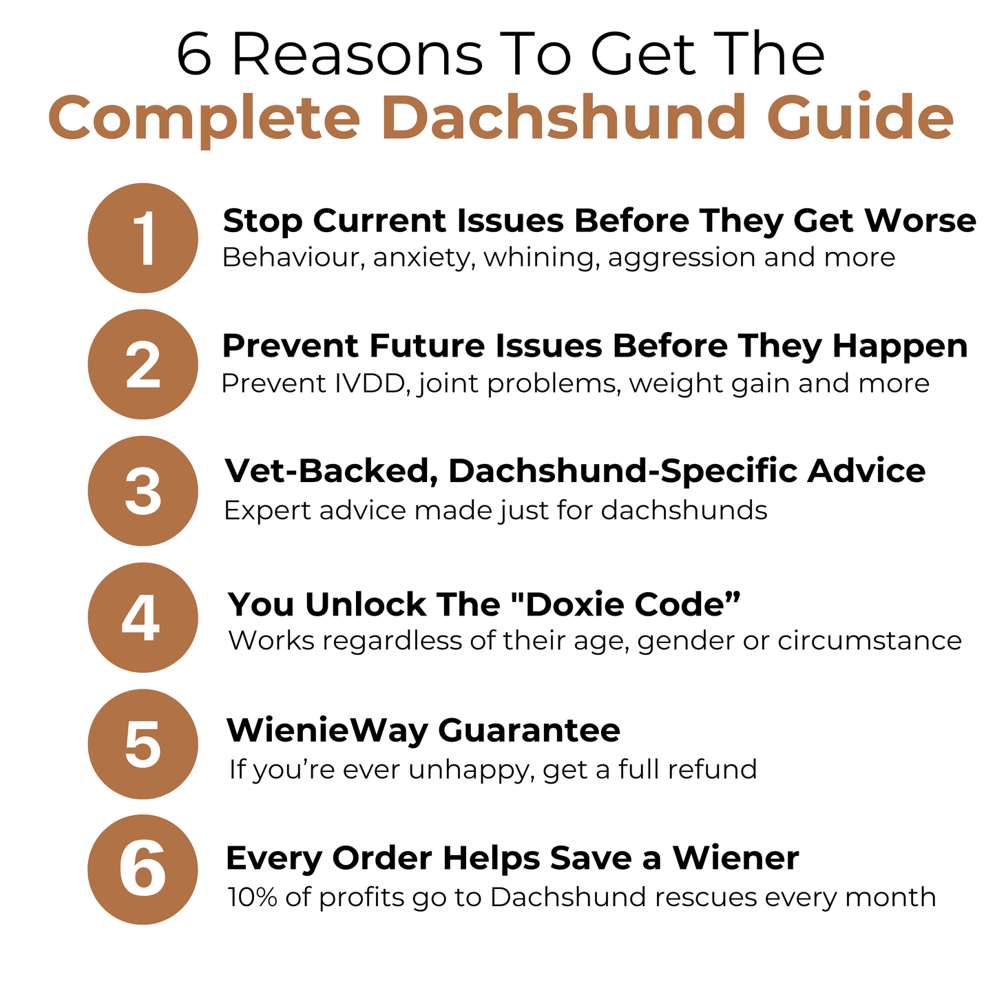 Complete Dachshund Guide