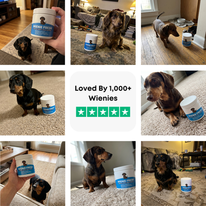 Wienie Fresh Dental Powder