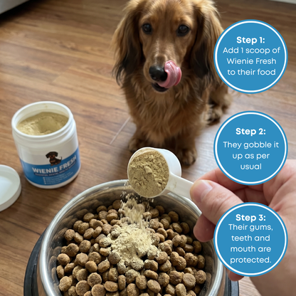 Wienie Fresh Dental Powder