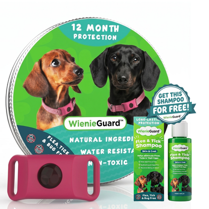 WienieGuard™ - 12 Month Flea and Tick Protection