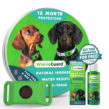 WienieGuard™ - 12 Month Flea and Tick Protection