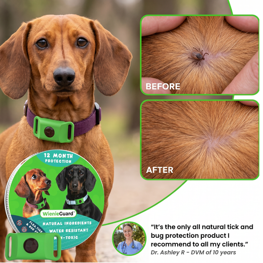 WienieGuard™ - 12 Month Flea and Tick Protection