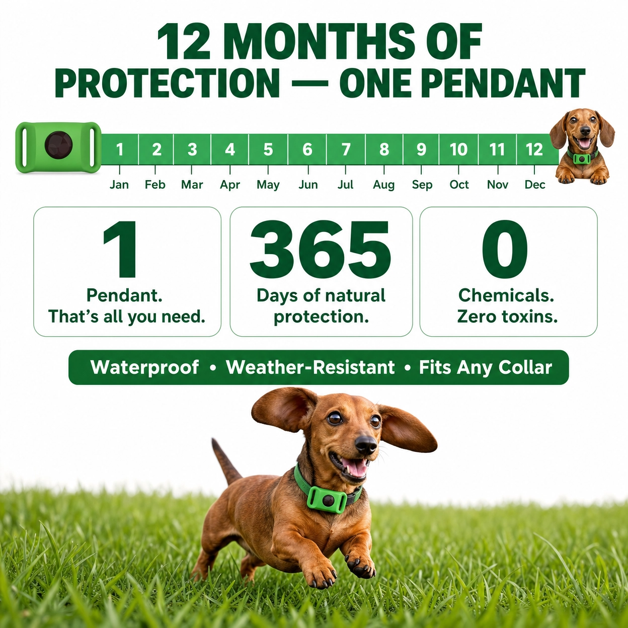 WienieGuard™ - 12 Month Flea and Tick Protection