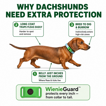 WienieGuard™ - 12 Month Flea and Tick Protection