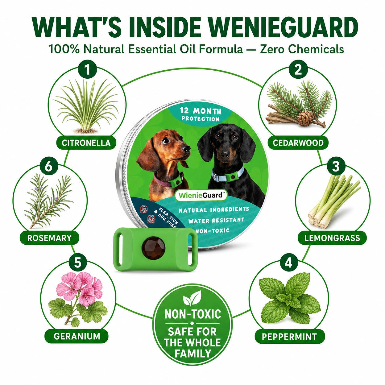 WienieGuard™ - 12 Month Flea and Tick Protection