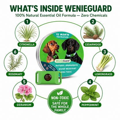 WienieGuard™ - 12 Month Flea and Tick Protection