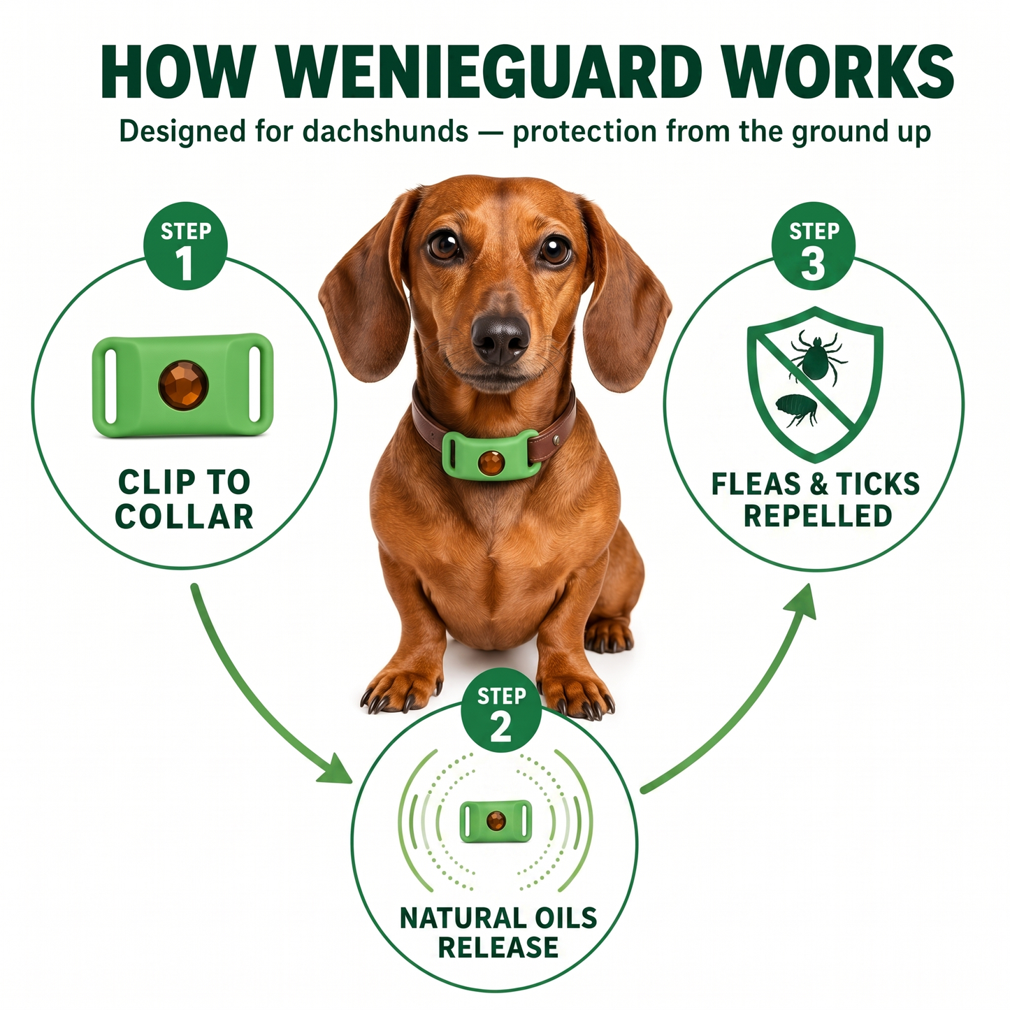 WienieGuard™ - 12 Month Flea and Tick Protection
