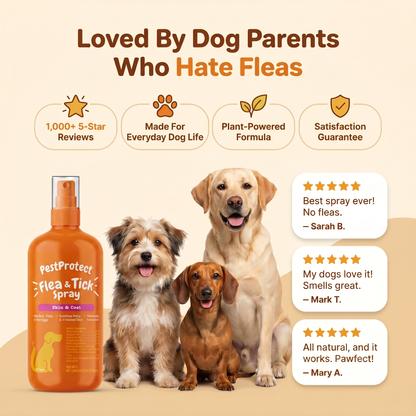 All Natural Flea & Tick Spray