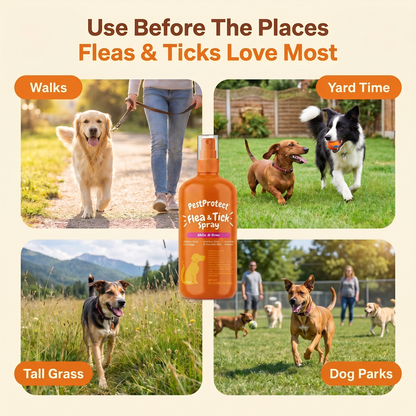 All Natural Flea & Tick Spray